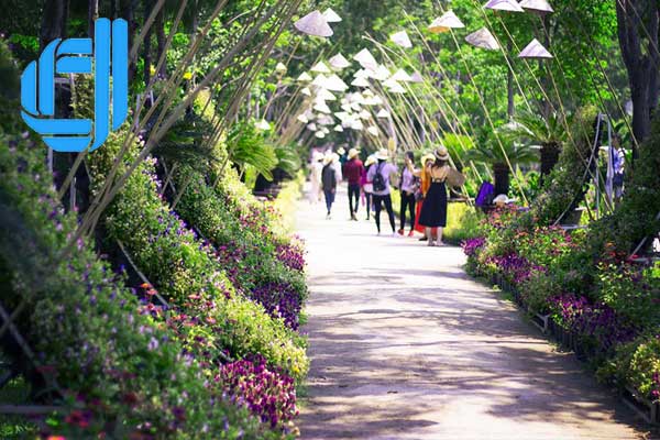 Đảo hoa lan điểm đến hấp dẫn khi đi du lịch tại Nha Trang
