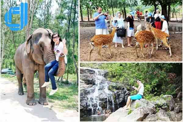 dia diem du lich thu vi dao khi o nha trang