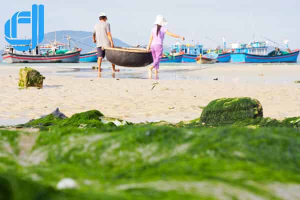 làng chài ninh thuỷ địa điểm du lịch nha trang khánh hoà ưa thích