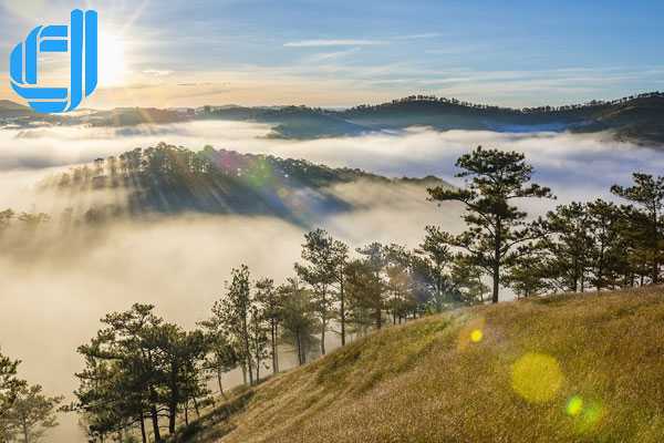 Tour du lịch Đà Lạt 2 ngày 1 đêm trọn gói giá rẻ