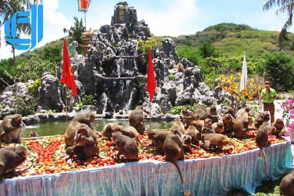 Tour du lịch Vịnh Nha Phu Nha Trang 1 ngày khởi hành hằng ngày