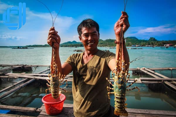 tham gia tour du lịch sóc trăng nha trang 3 ngày 2 đêm trọn gói đến với đảo bình ba